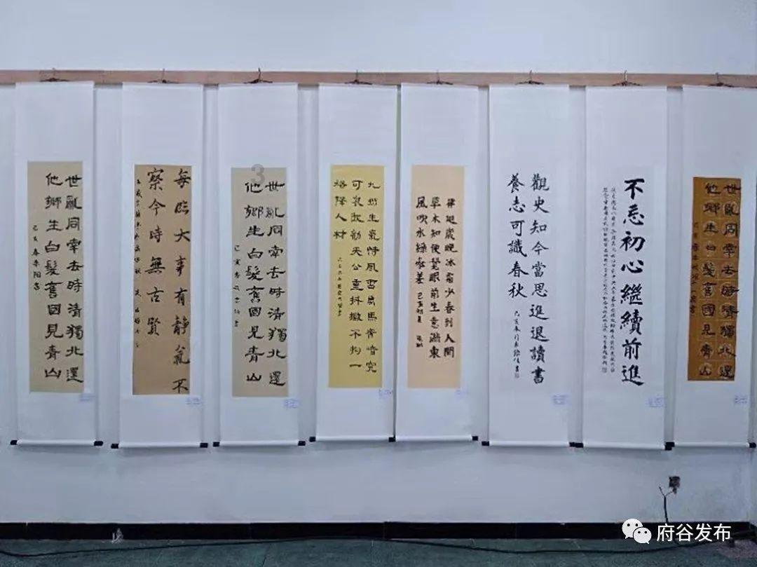 救援海盗章鱼
